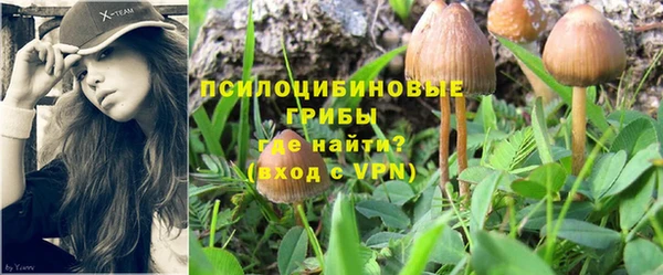 мяу мяу мука Арсеньев
