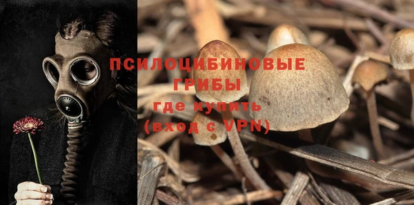 гидра Армянск