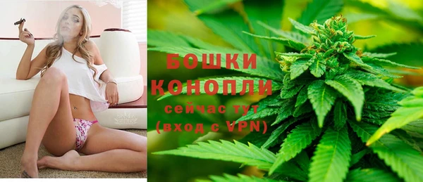 гидра Армянск